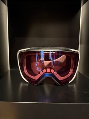 Sweet Protection Ski Goggles